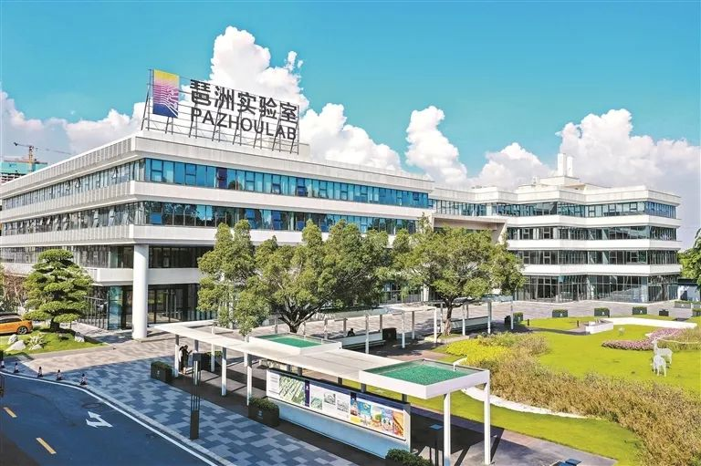 内容图片