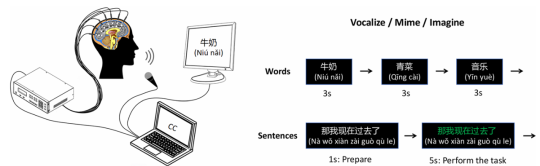 内容图片