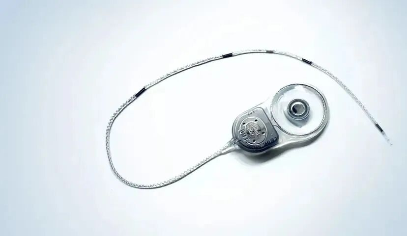 研究进展