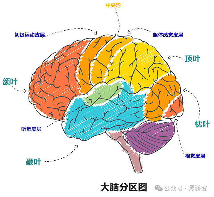 内容图片
