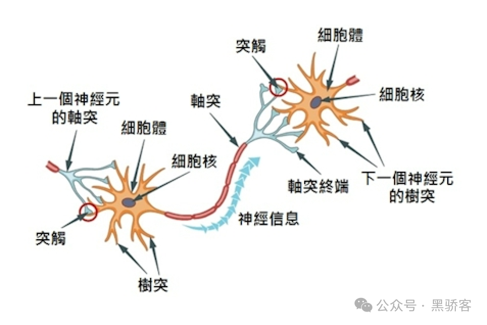 内容图片