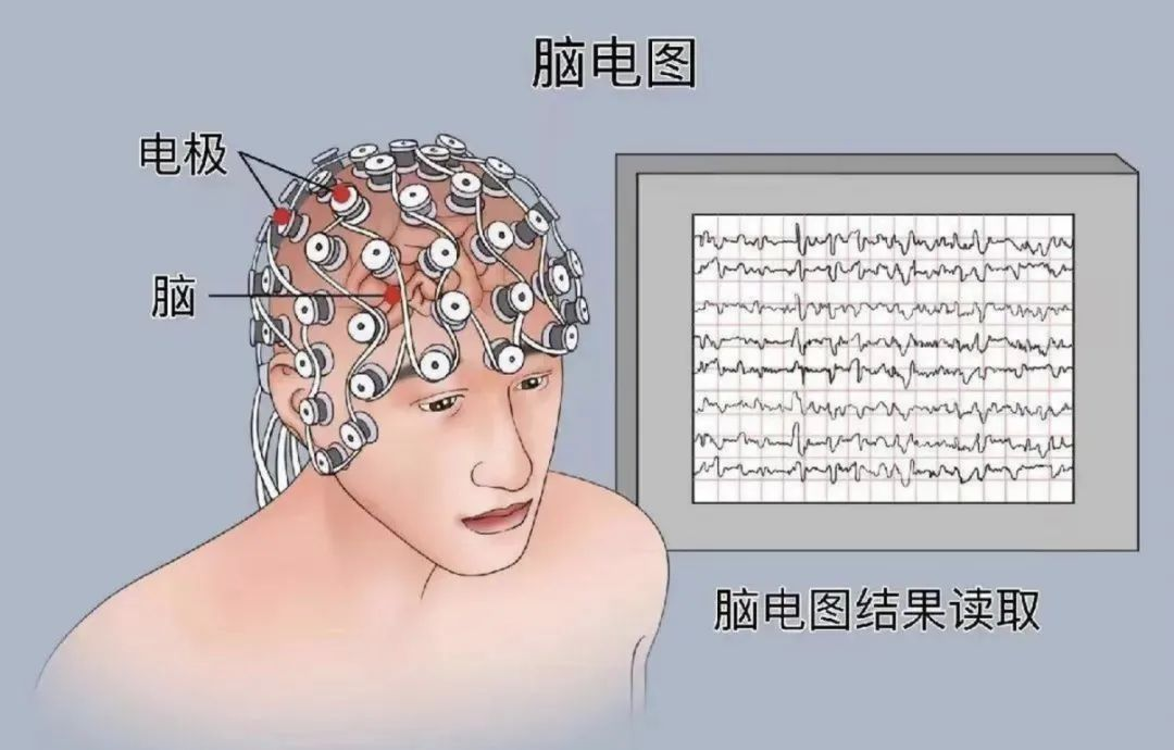 应用案例