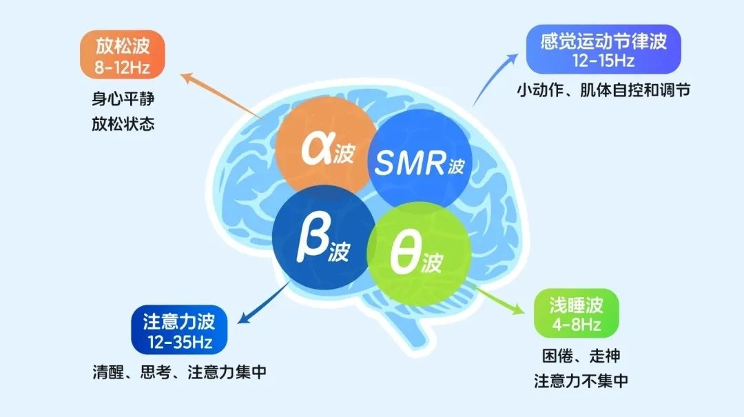 应用案例