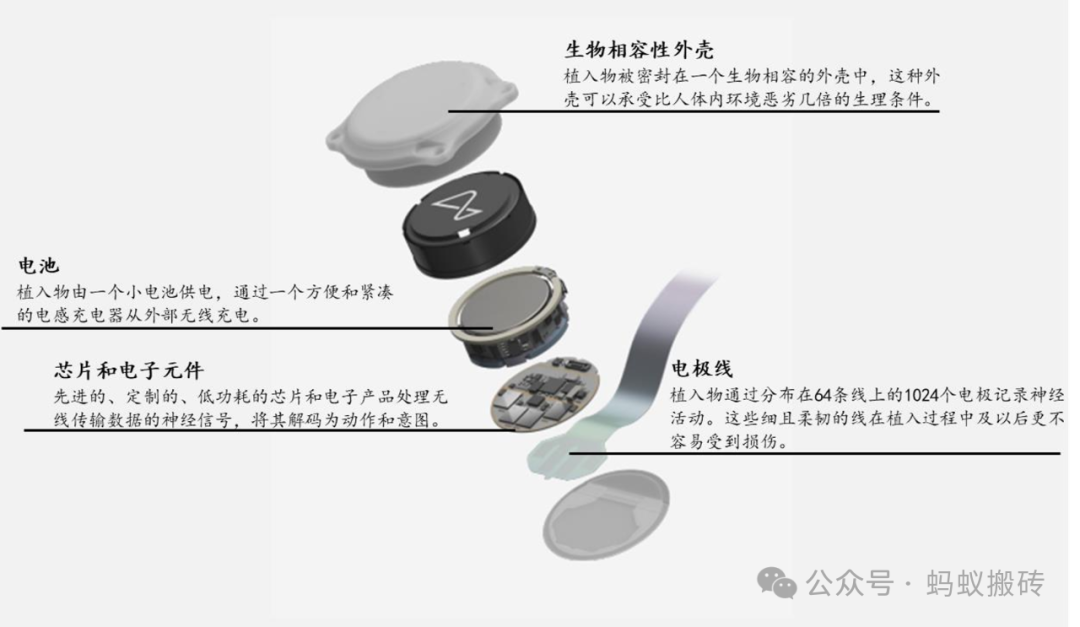 内容图片