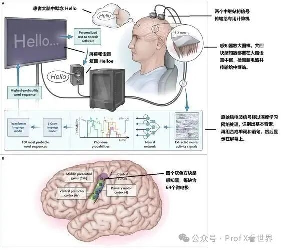 内容图片
