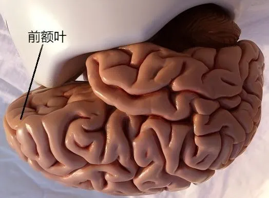 内容图片