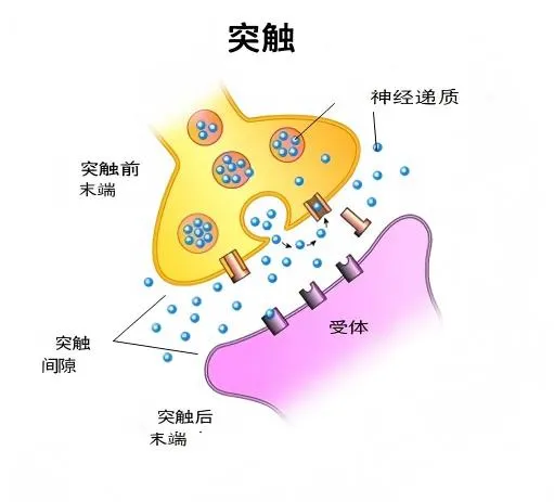 内容图片